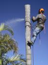 Photo for P.H. Ready Tree Service Construction & Landscaping