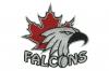 Photo for Custom Embroidery Designs in Minnesota