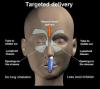 Photo for Pulmonary/ Respiratory Drug Delivery Market