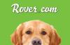 Photo for Rover.com - Chicago Dog Boarding