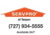 Photo for SERVPRO of Tarpon