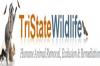 Photo for TriState Wildlife