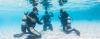 Photo for Dive Indonesia
