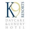 Photo for K9 Resorts of Middletown NJ