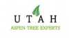 Photo for Utah Aspen Tree Experts