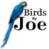 Photo for Birds By Joe