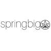 Photo for SpringBIG
