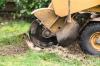 Photo for Colleyville Stump Grinding