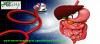 Photo for Get The Best Services For Any Digestive problem in North Carolina