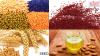 Photo for Seed Market Competitive Dynamics & Global Outlook 2024