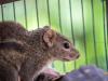 Photo for Arguello Termite & Pest Control