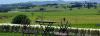 Photo for An Exotic Experience At Hunter Valley Wineries
