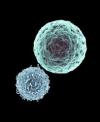 Photo for Dendritic Cell Therapy Market Size and Forecast 2017-2025