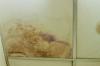 Photo for Mold Cleanup North Charleston