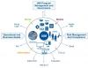 Photo for Growing Need of Security Increases Identity & Access Management Market