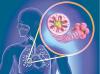 Photo for Obstructive Lung Disease Market SWOT Analysis, Key Development Areas, Financial Overview and Forecasts Till 2023