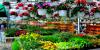 Photo for Hydroponics Depot
