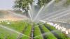 Photo for Micro Irrigation Systems Market – Analysis, Demand, Trends and Forecasts 2024
