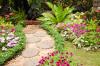 Photo for Rivera Brothers Landscaping