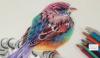 Photo for Soft Core Colored Pencils box of 24 by EIMA