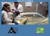 Photo for AMALGAM SAFE REMOVAL