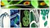 Photo for Major Advancements in Protein Therapeutics -Technologies; Global Industry Analysis 2024
