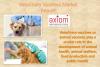 Photo for Veterinary Vaccines Market - Global Industry Analysis, Size, Trend & Application Report