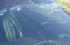 Photo for auto glass repair Dallas