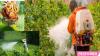 Photo for Pesticides Boost the Productivity of the Agricultural Sector by protecting the crops from pests.