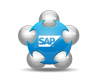 Photo for SAP Users List-Leo Data Services