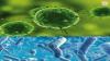 Photo for Antimicrobial Coatings Market Trends, Size, Share, Growth and Forecast 2024