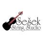 Photo for Sešek String Studio