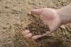 Photo for Organic Fertilizer Market Revenue, Opportunity, Segment and Key Trends 2026