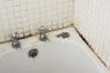 Photo for Mold Removal Houston