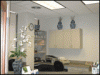 Photo for Rana Lee, DDS, PA