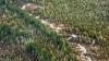 Photo for Forest Land Management Market 2018 - Leading Players and Market Analysis