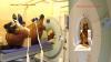Photo for Veterinary CT scanner Market - Global Industry Analysis, Size, Share, Growth, Trends and Forecast 2019 - 2024