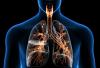 Photo for Non-Small Cell Lung Cancer Treatment Market Report - Global Industry Insights, Analysis, Trends, and Forecast 2017 – 2025