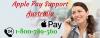 Photo for Apple Pay Helpline Support Number