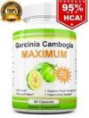 Photo for Santege Pure Garcinia Side Effects