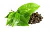 Photo for Green Tea Extract Market size, growth, industry share, forecast and analysis report by 2023