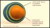 Photo for Microencapsulation Market Survey, Strategies, Future Demand and Growth Rate Up To 2024