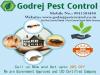 Photo for Call +91-9811381458 Godrej pest control Gurgaon