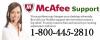 Photo for Mcafee Antivirus Support 1-800-445-2810 USA/CANADA