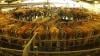 Photo for What is sustainable agriculture