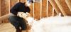 Photo for Hire the best insulation companies for home insulation in San Diego