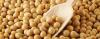 Photo for Soy Protein Ingredients Market Growth Analysis and Future Demand with Forecast up to 2024