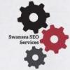 Photo for Swansea SEO Services