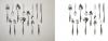 Photo for clipping path