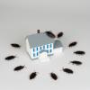 Photo for Advanced Pest Services Kernersville